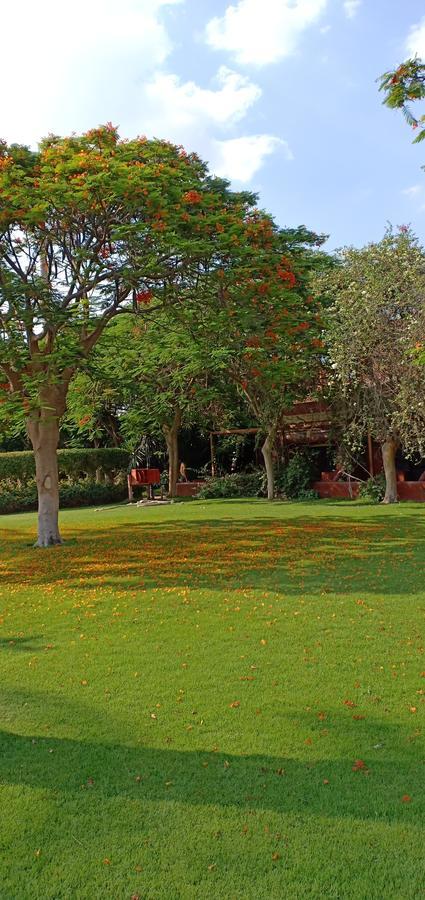 Sakkara Country Club Hotel El Hawamdeya Esterno foto